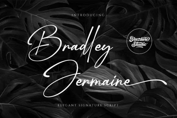Bradley Jermaine: A Handwritten Font for Editorial Elegance