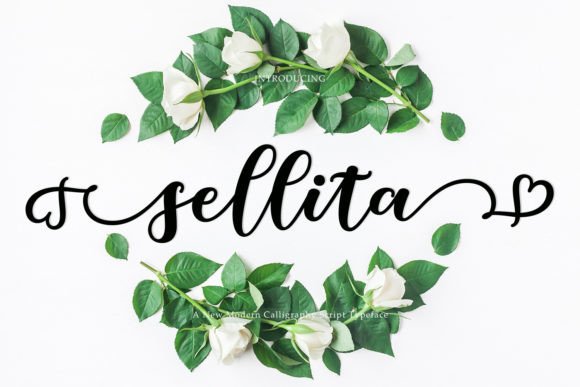 Elevate Your Campaigns with Sellita: A Dazzling Script Font
