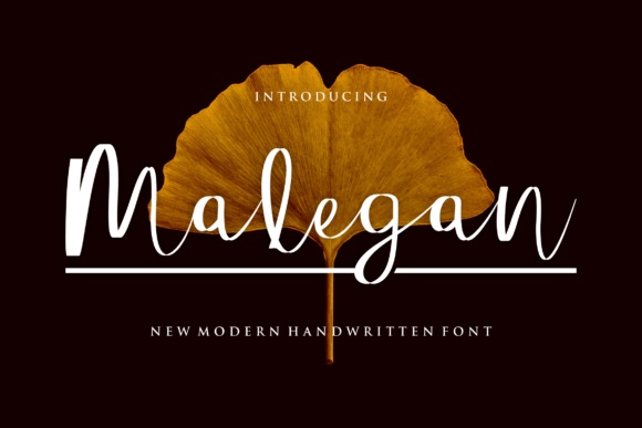 Malegan: The Perfect Script Font for Your Next Campaign