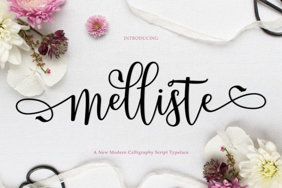 Melliste: A Charming Script Font for Web Design